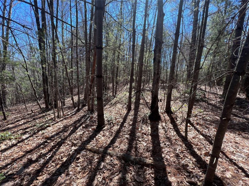 Property image 3 at 207 249 Feather Falls Trail, Black Mountain, NC 28711