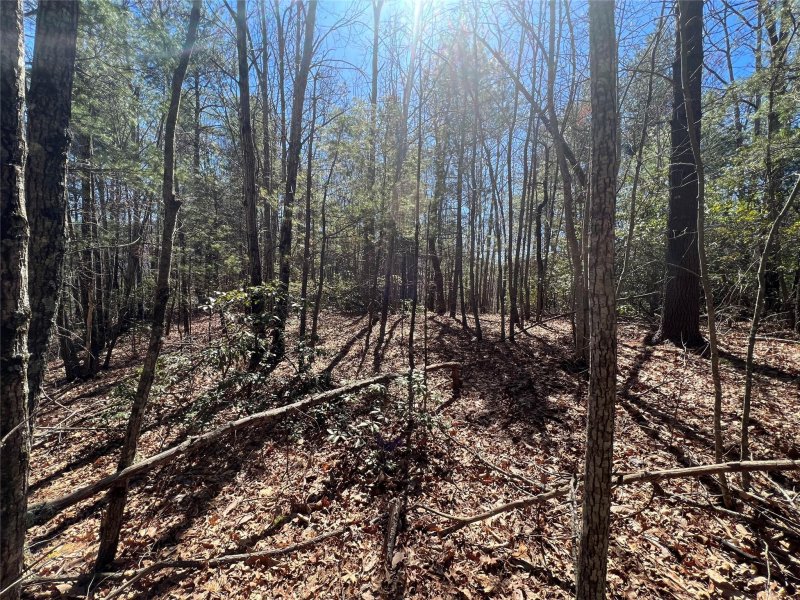 Property image 4 at 207 249 Feather Falls Trail, Black Mountain, NC 28711