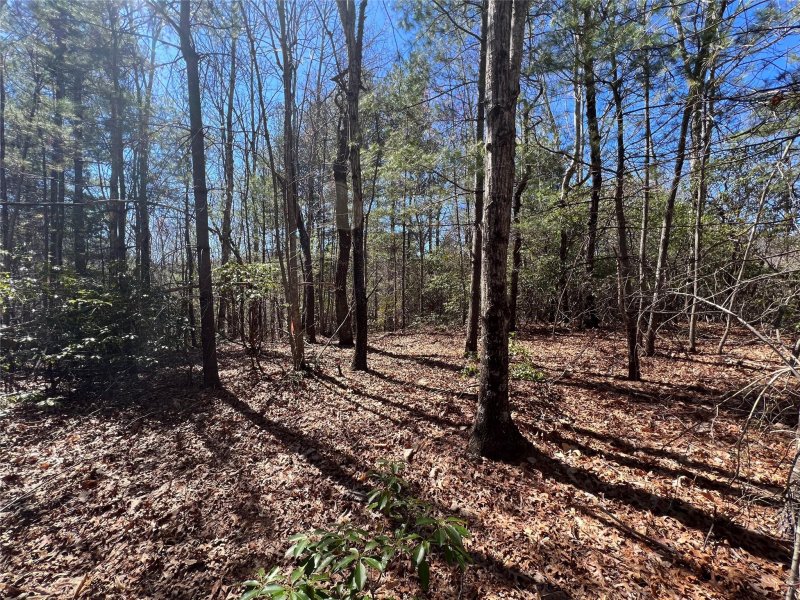 Property image 5 at 207 249 Feather Falls Trail, Black Mountain, NC 28711