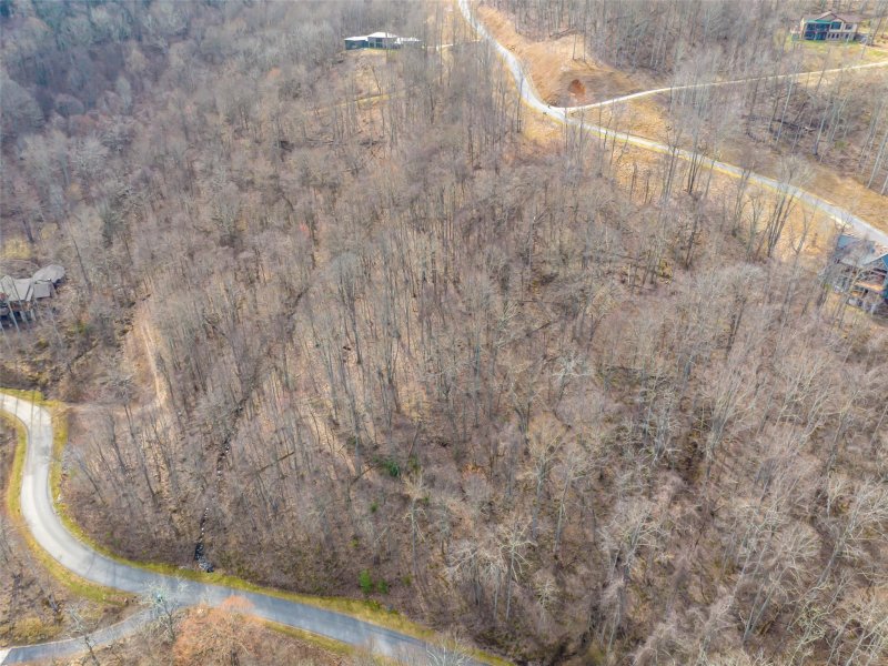 Property image 4 at 239 High Hickory Trail, Swannanoa, NC 28778