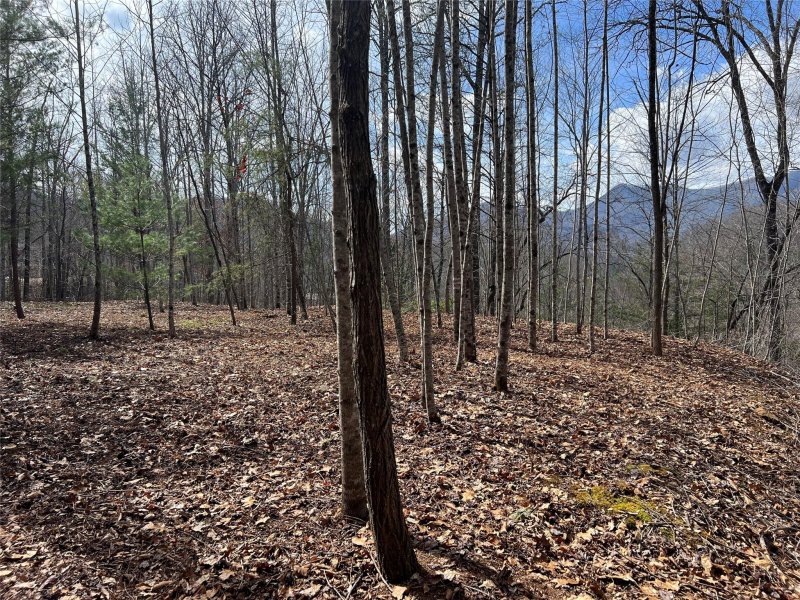 Property image 2 at 195 Fallen Oak Drive, Sylva, NC 28779