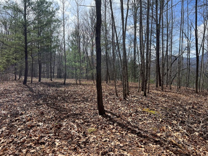 Property image 3 at 195 Fallen Oak Drive, Sylva, NC 28779