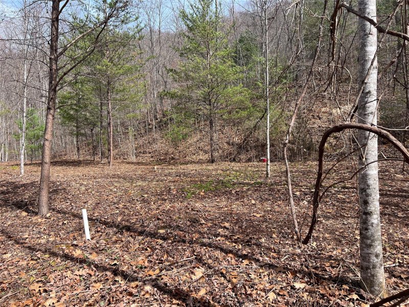 Property image 4 at 195 Fallen Oak Drive, Sylva, NC 28779