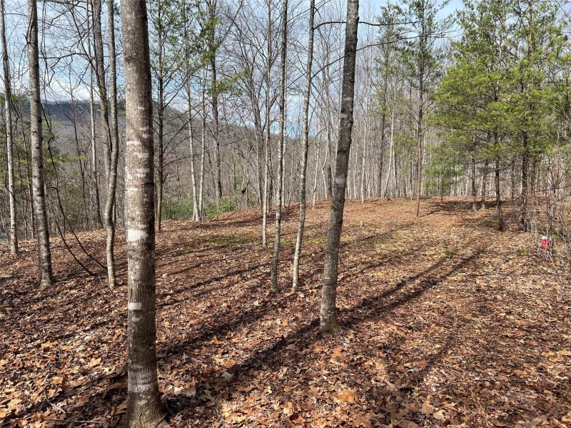 Property image 5 at 195 Fallen Oak Drive, Sylva, NC 28779