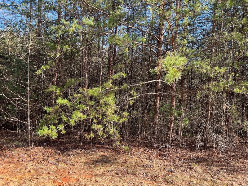 Property image 3 at 4801 Pea Ridge Road, Morganton, NC 28655