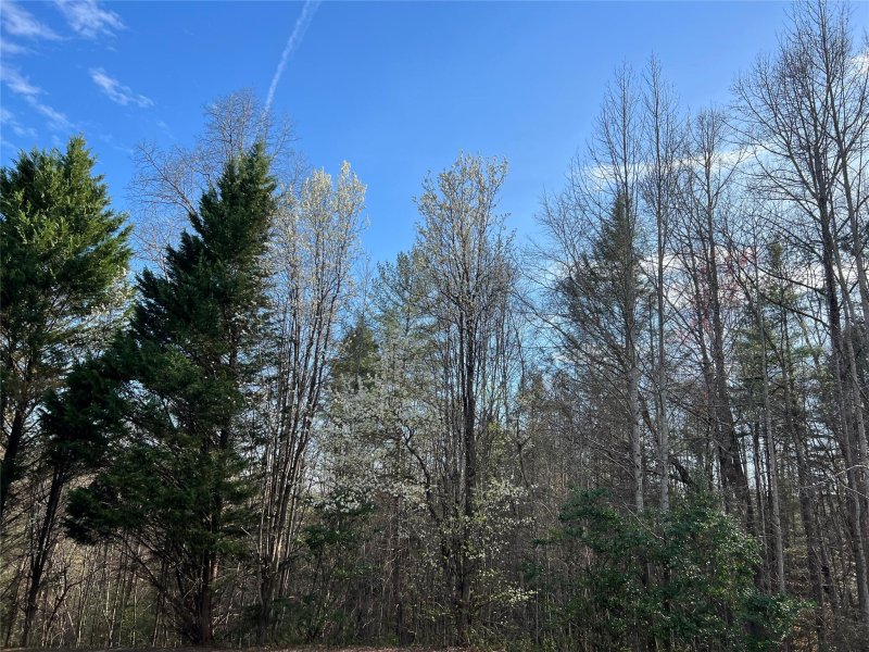 Property image 4 at 4801 Pea Ridge Road, Morganton, NC 28655