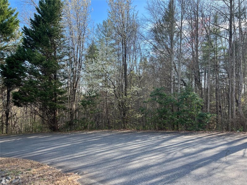 Property image 5 at 4801 Pea Ridge Road, Morganton, NC 28655