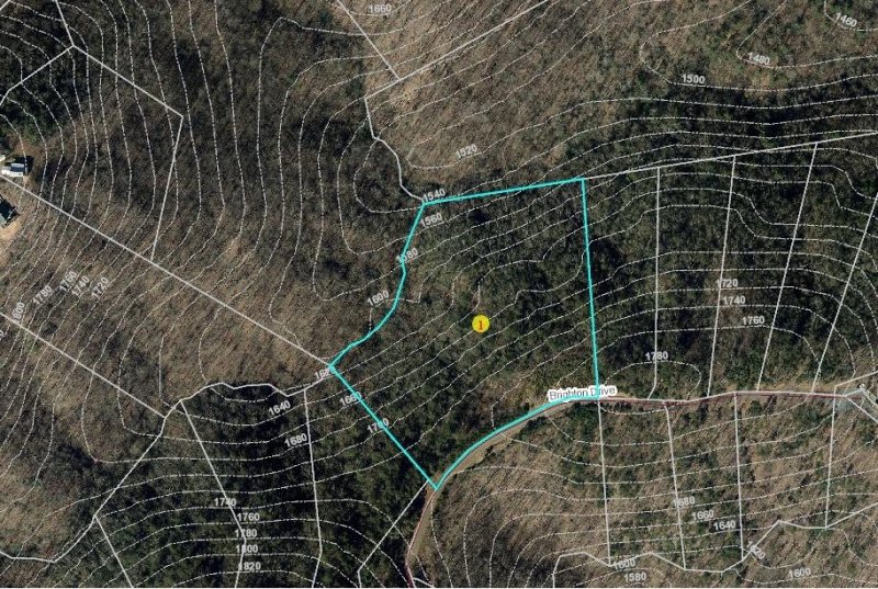 Property image 5 at 226 Brighton Drive, Bostic, NC 28018