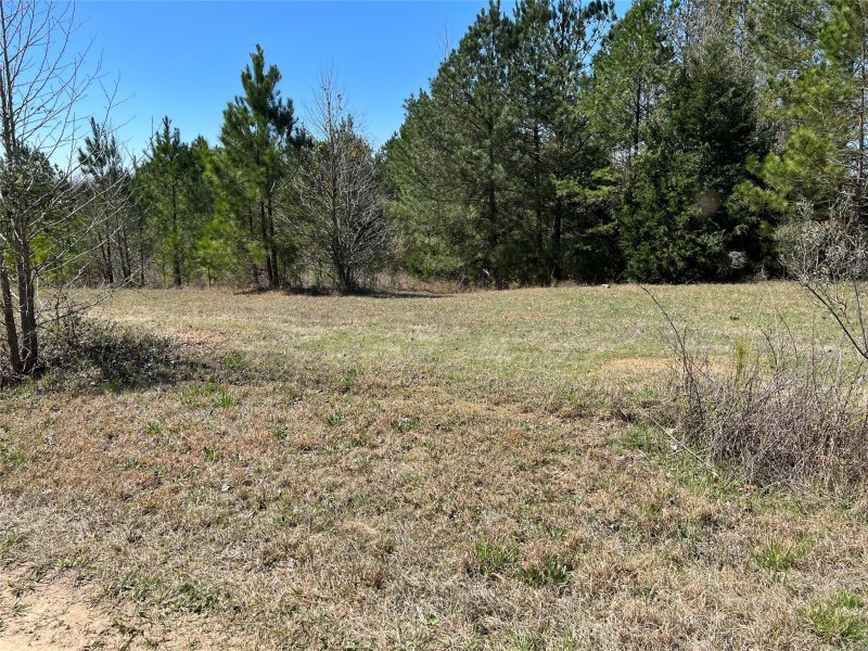 Property image 2 at 742 Sidney Cornwell Court, Catawba, SC 29704