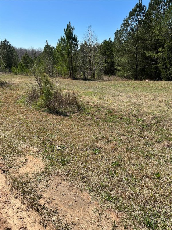 Property image 3 at 742 Sidney Cornwell Court, Catawba, SC 29704