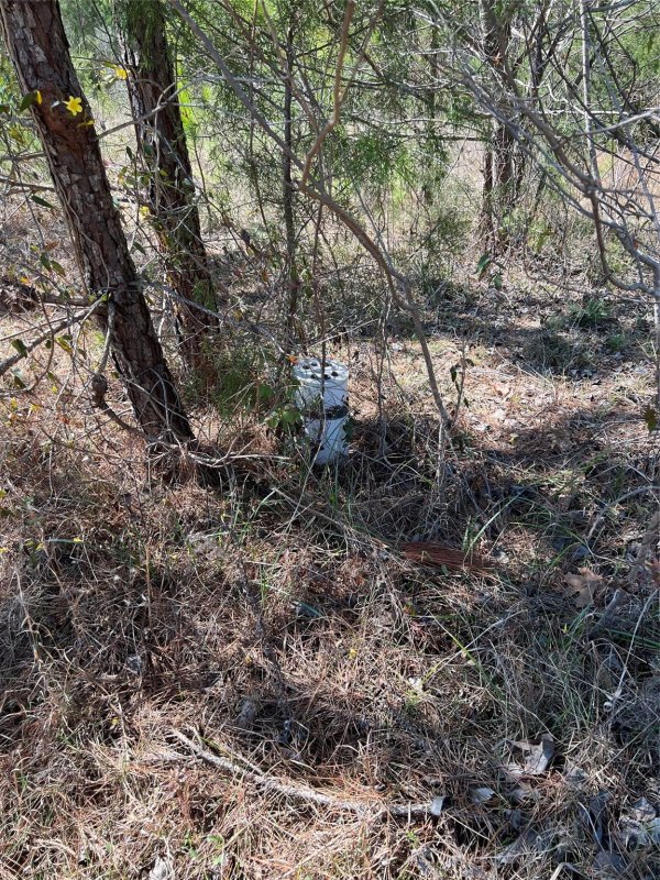 Property image 4 at 742 Sidney Cornwell Court, Catawba, SC 29704