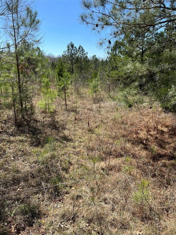 Property image 5 at 742 Sidney Cornwell Court, Catawba, SC 29704