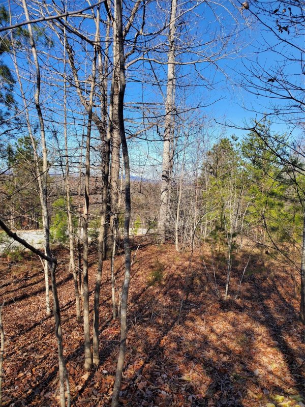 Property image 2 at 72 Tayberry Drive, Nebo, NC 28761