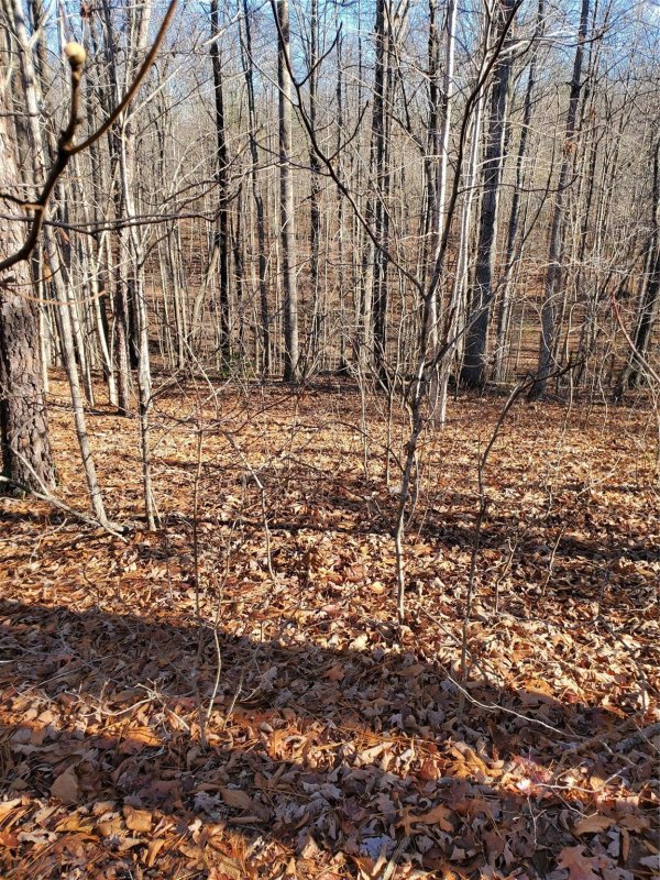 Property image 3 at 72 Tayberry Drive, Nebo, NC 28761