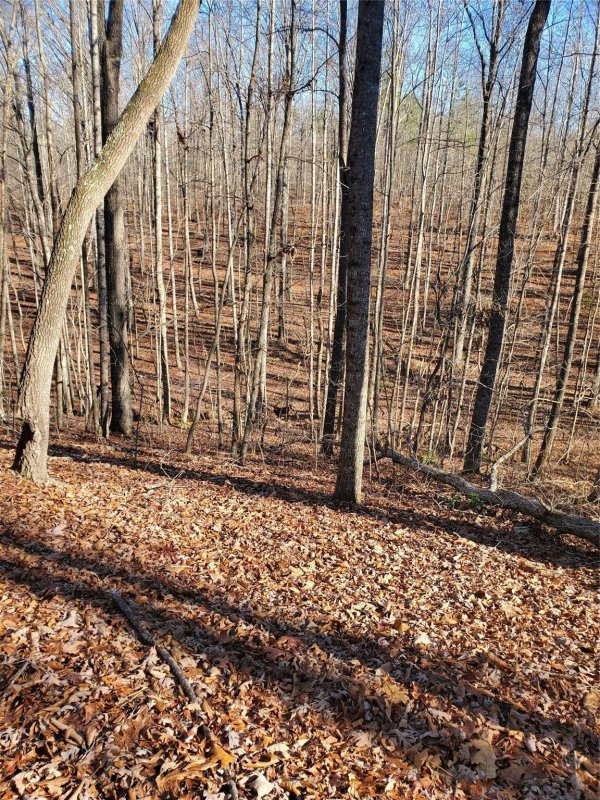 Property image 4 at 72 Tayberry Drive, Nebo, NC 28761