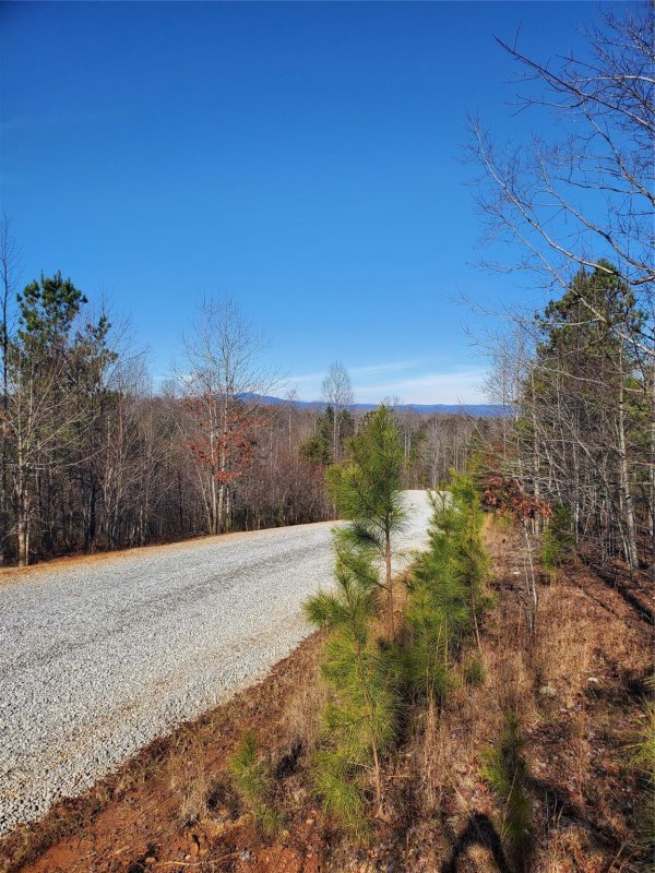 Property image 5 at 72 Tayberry Drive, Nebo, NC 28761