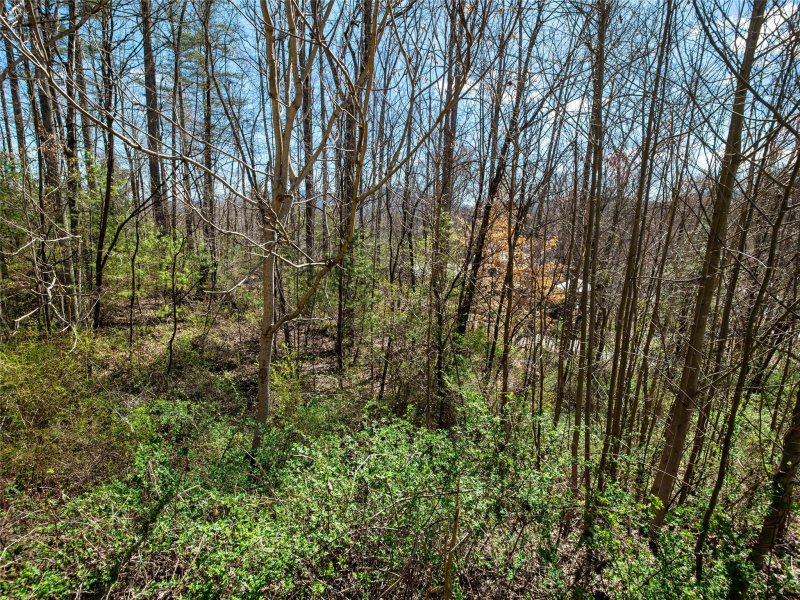 Property image 4 at 15 La Grange Drive, Asheville, NC 28805