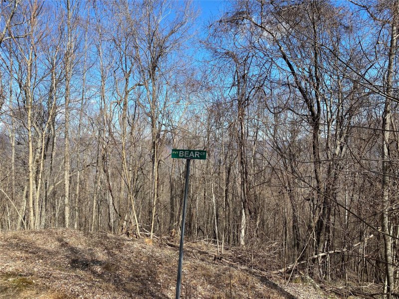 Property image 2 at Lot Iii Bear Springs Road, Bakersville, NC 28705