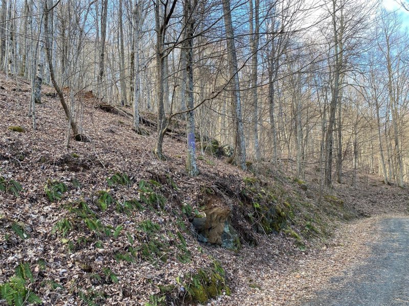 Property image 3 at Lot Iii Bear Springs Road, Bakersville, NC 28705