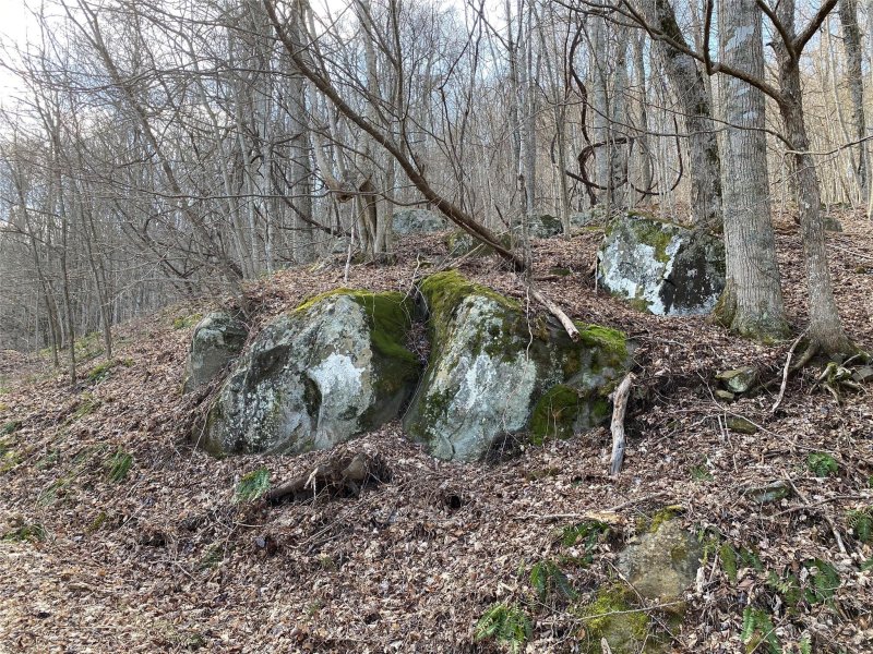 Property image 4 at Lot Iii Bear Springs Road, Bakersville, NC 28705