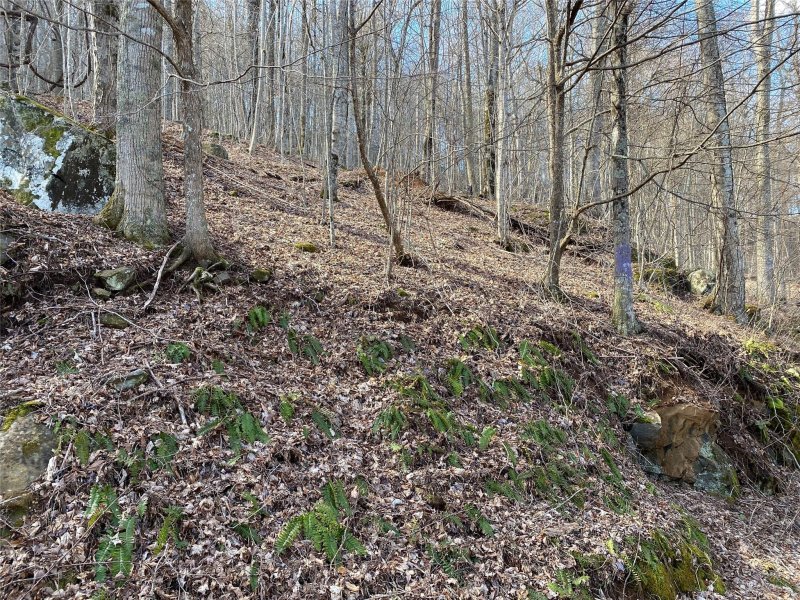 Property image 5 at Lot Iii Bear Springs Road, Bakersville, NC 28705