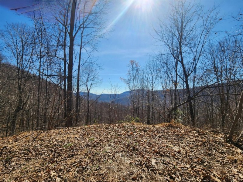 Property image 2 at 986 Creston Drive, Black Mountain, NC 28711