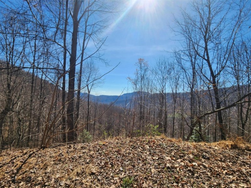 Property image 4 at 986 Creston Drive, Black Mountain, NC 28711