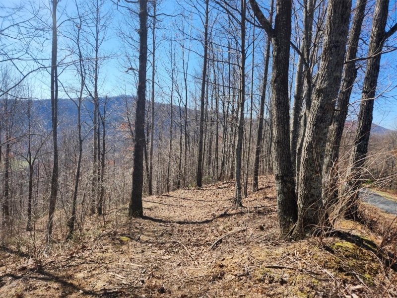 Property image 5 at 986 Creston Drive, Black Mountain, NC 28711