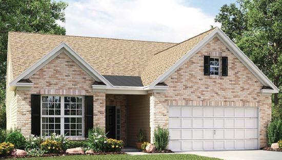 11206 Dappled Light Trail