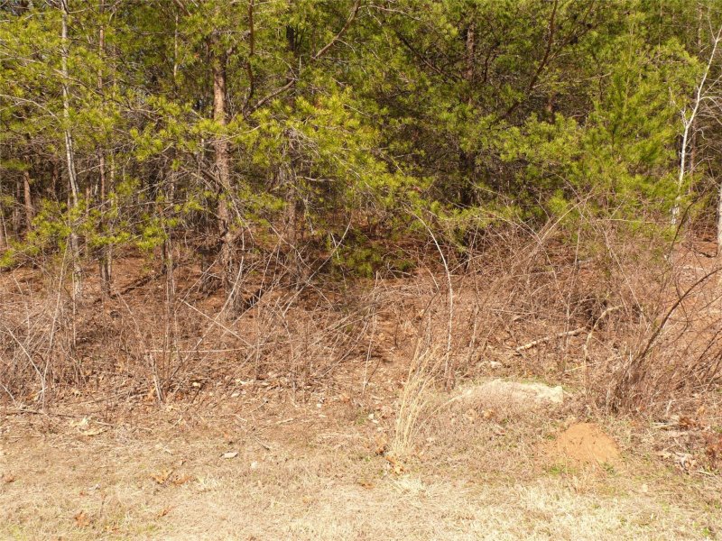 Property image 4 at Lot 9 Brookside Parkway, Lake Lure, NC 28046