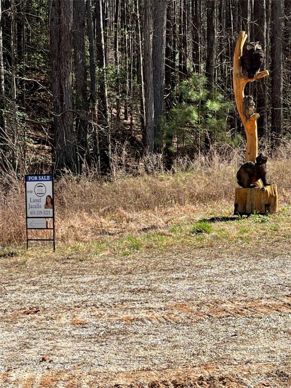 Property image 3 at 00 S Branch Drive, Bostic, NC 28018