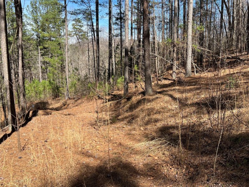 Property image 5 at 00 S Branch Drive, Bostic, NC 28018