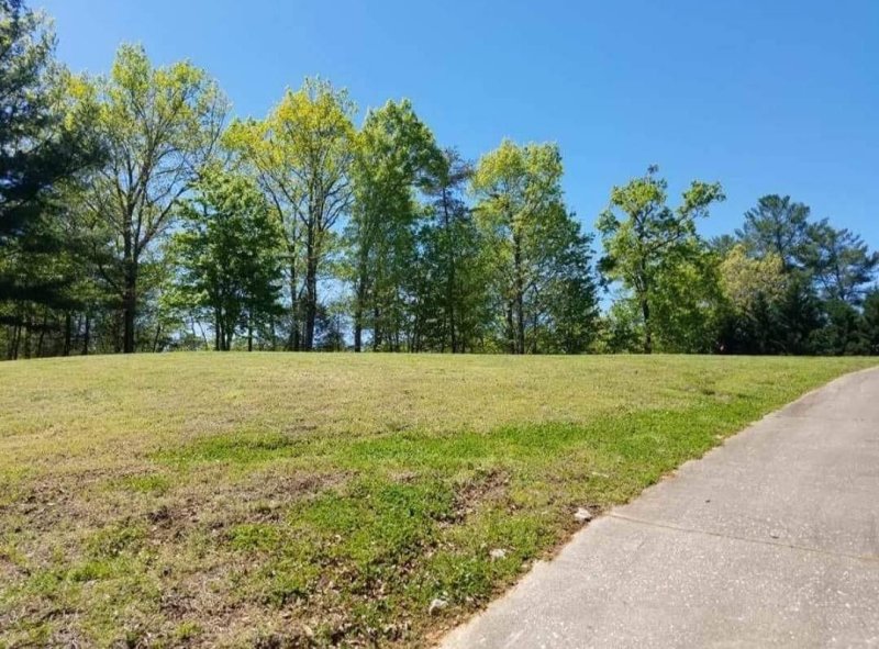 Property image 4 at 438 Plantation Drive, Marion, NC 28752