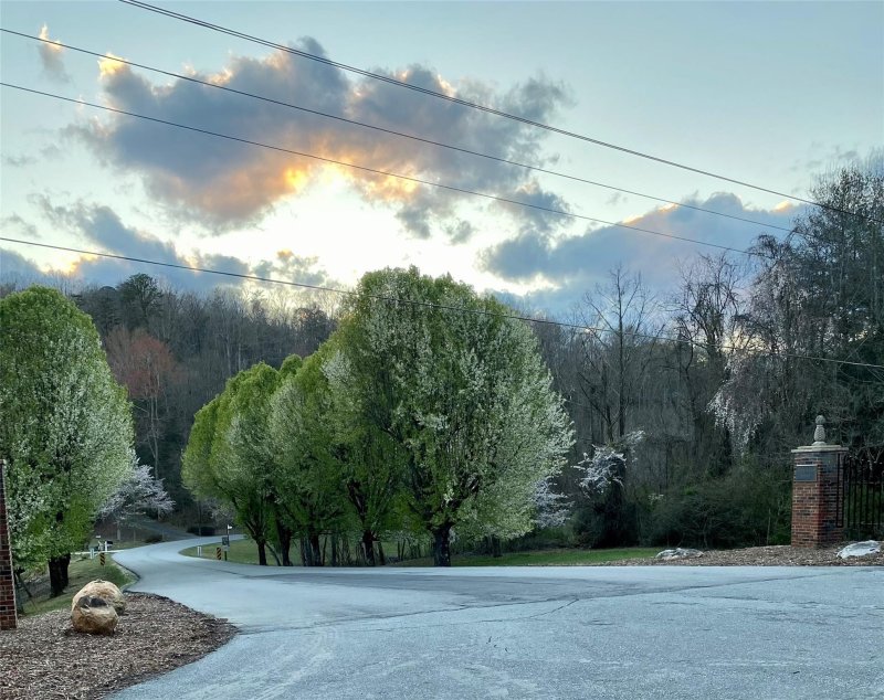 Property image 5 at 438 Plantation Drive, Marion, NC 28752