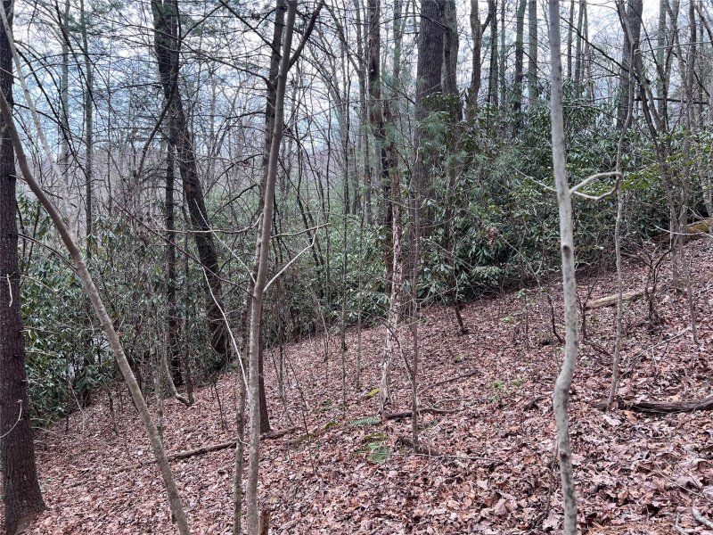 Property image 5 at 00 Lake View Road, Spruce Pine, NC 28777