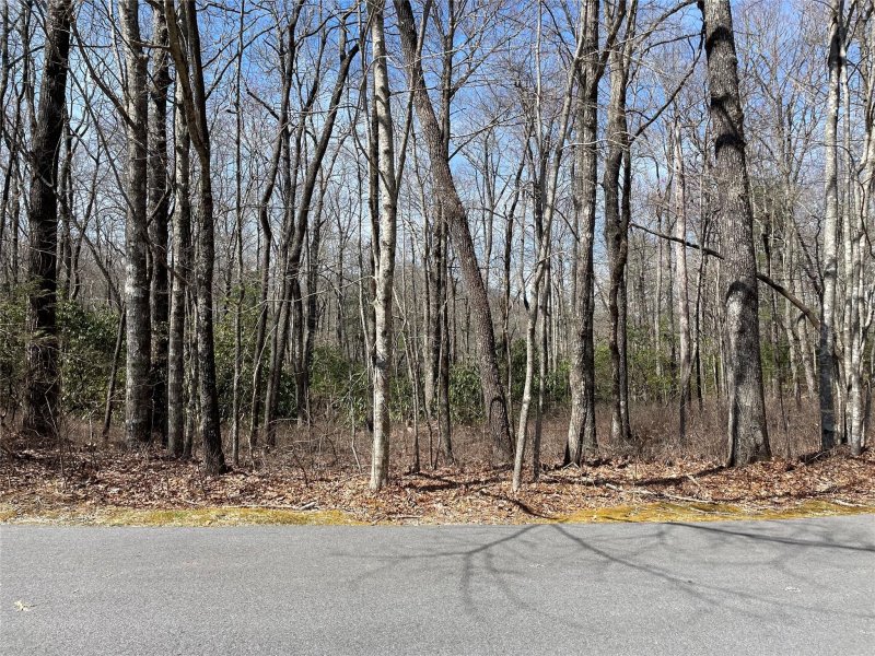 S8 Lo 20 Cherokee Circle