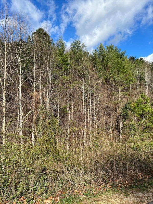 Property image 3 at 7 Mountain Magnolia Drive, Leicester, NC 28748