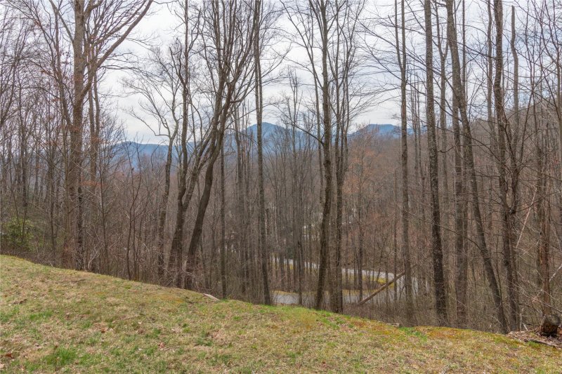 Property image 2 at 00 Mountain Watch Drive, Waynesville, NC 28785