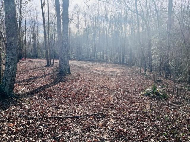 Property image 2 at 404 Lookout Dam Road, Statesville, NC 28625