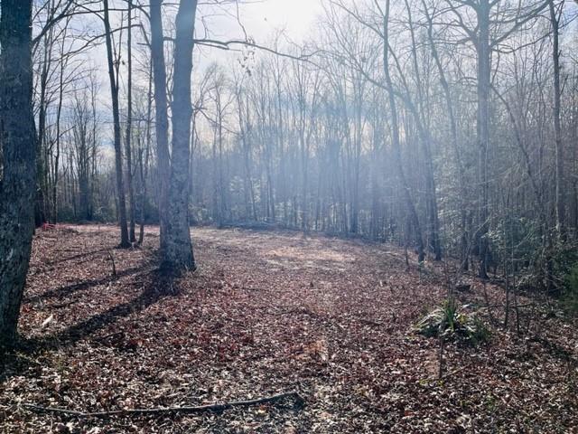 Property image 3 at 404 Lookout Dam Road, Statesville, NC 28625