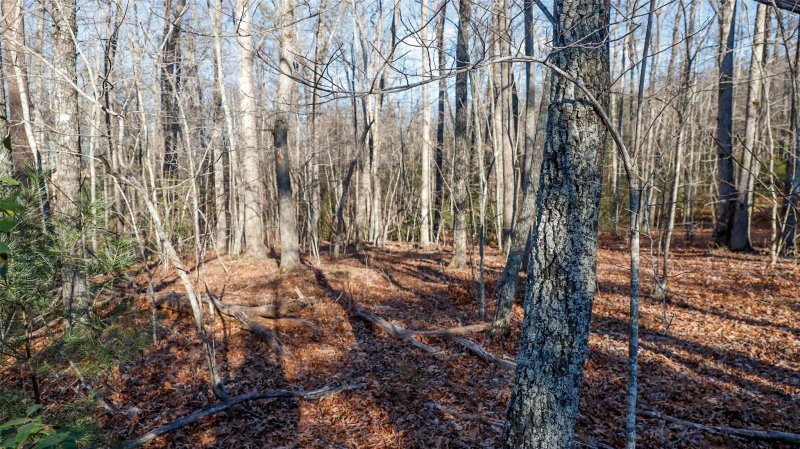 Property image 4 at 224 Ravenswood Drive, Marion, NC 28752