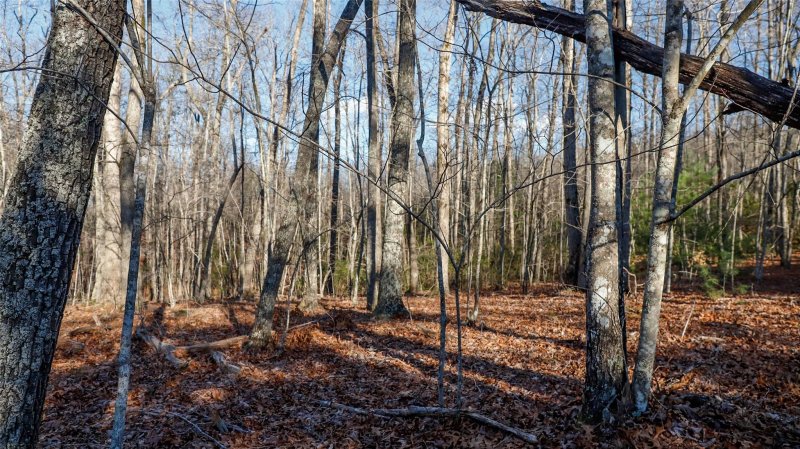 Property image 5 at 224 Ravenswood Drive, Marion, NC 28752