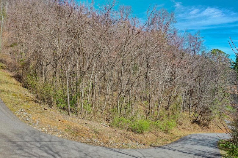 Property image 2 at 00 Cobblestone Drive, Waynesville, NC 28786