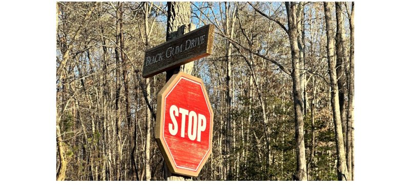 Property image 2 at 0 Black Gum Drive, Rutherfordton, NC 28139