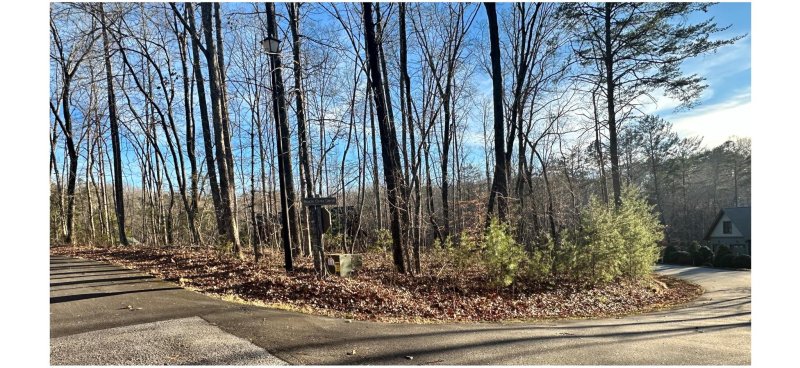 Property image 3 at 0 Black Gum Drive, Rutherfordton, NC 28139