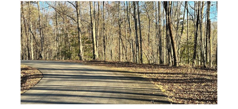 Property image 4 at 0 Black Gum Drive, Rutherfordton, NC 28139