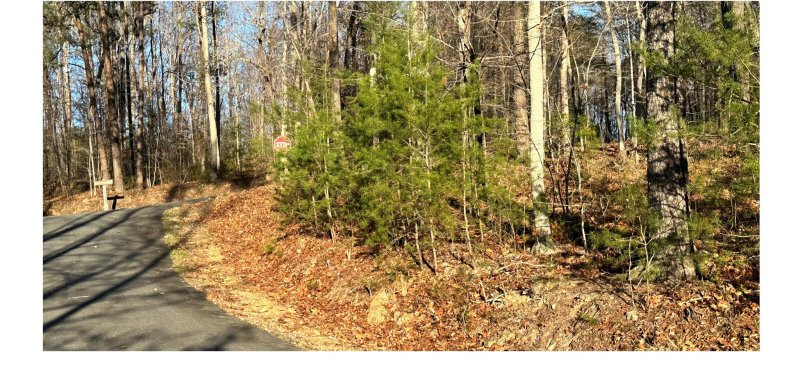 Property image 5 at 0 Black Gum Drive, Rutherfordton, NC 28139