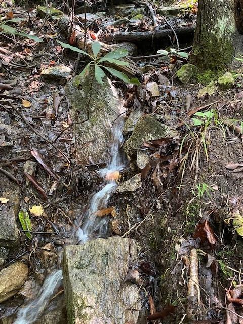 Property image 2 at Lot 58 Lost Panther Road, Brevard, NC 28712