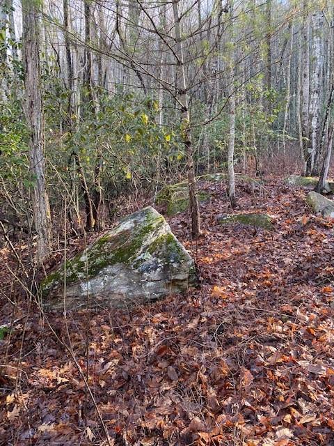Property image 4 at Lot 58 Lost Panther Road, Brevard, NC 28712