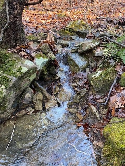 Property image 5 at Lot 58 Lost Panther Road, Brevard, NC 28712